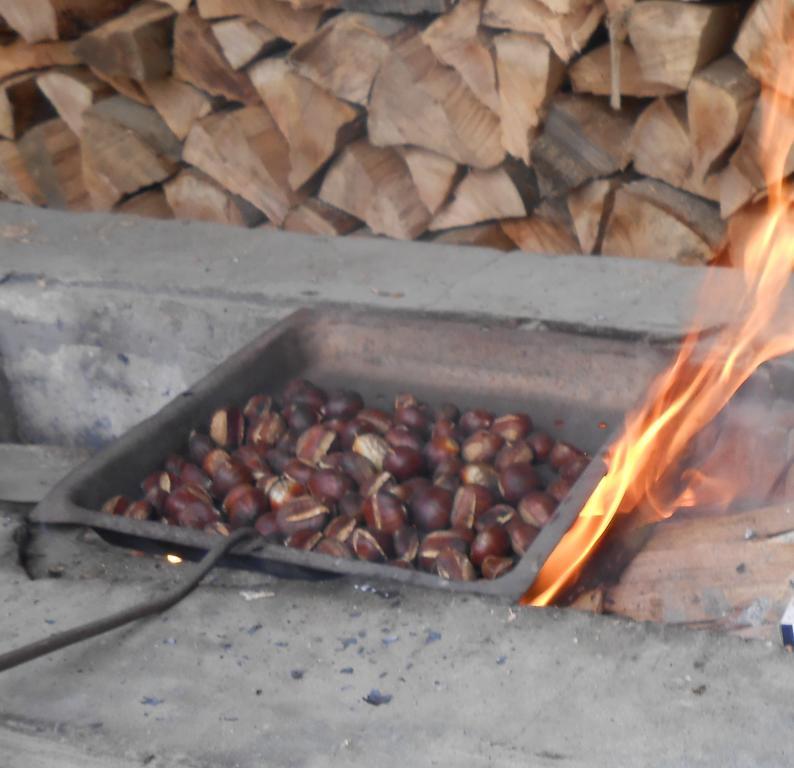 Guest House Marketti فينوغراديف المظهر الخارجي الصورة