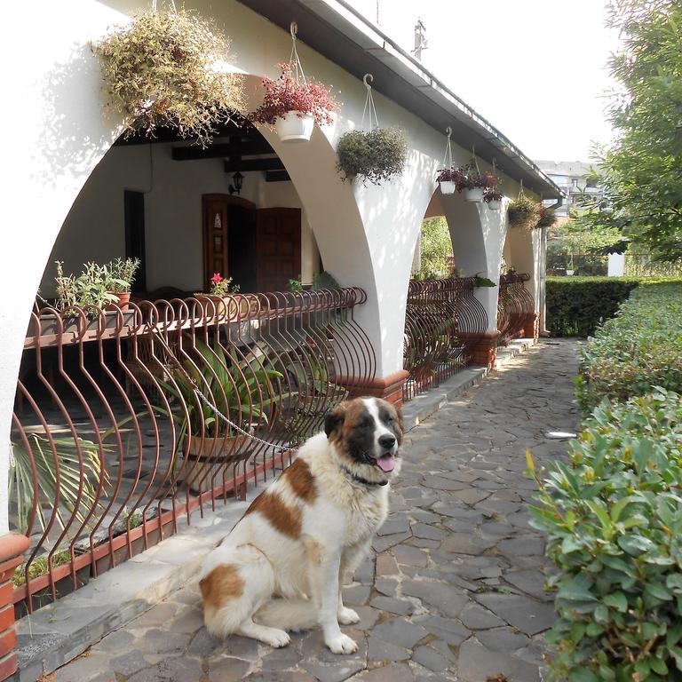 Guest House Marketti فينوغراديف المظهر الخارجي الصورة